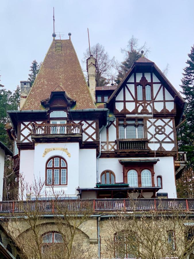 Royal Residence 1901 Sinaia Extérieur photo